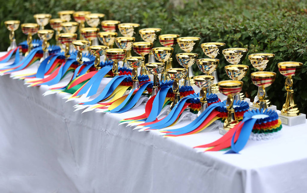 Yarışın kazananları için masada güzel renkli ödüller - Fotoğraf, Görsel
