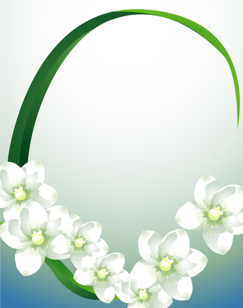 White flower - Фото, изображение