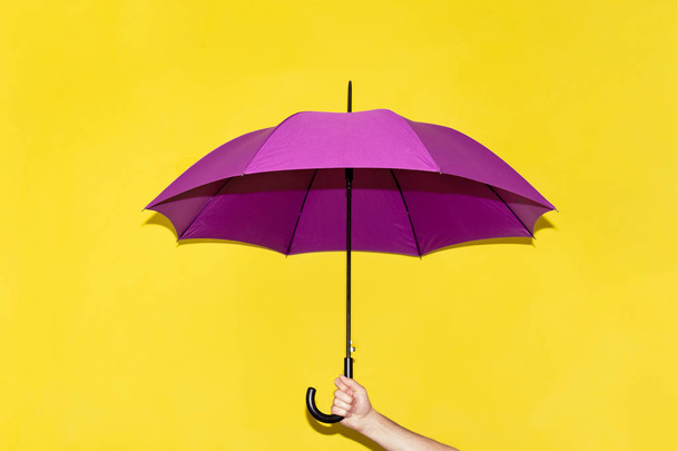 Muž má v ruce fialový deštník na pozadí žluté stěny. Koncept podzimu, podnikání, ochrany. - Fotografie, Obrázek