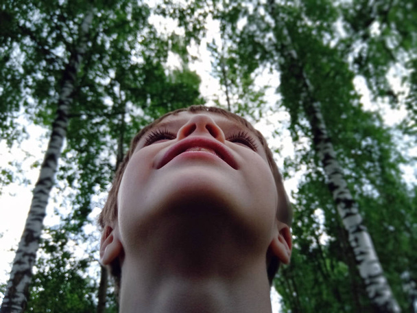 A boy in the forest looks at the sky through the trees - Фото, зображення