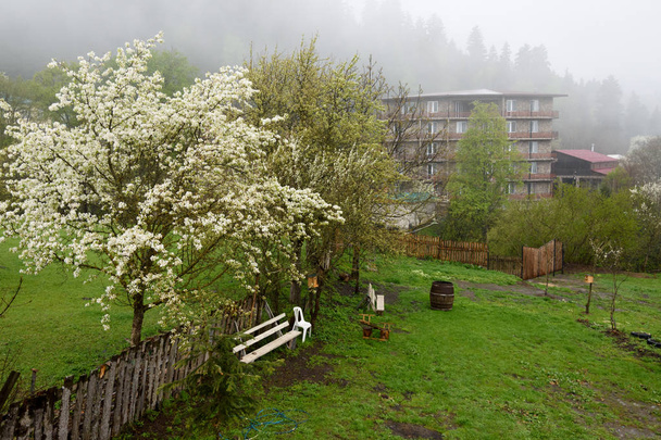 Mzetamze virágzó kertjei. Klimatikus üdülőterület, Samtskhe-Javakheti régió, Grúzia - Fotó, kép