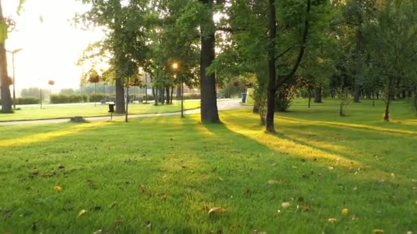 4k Lakatlan sikátorok, reggel friss központi park Bucha - Felvétel, videó