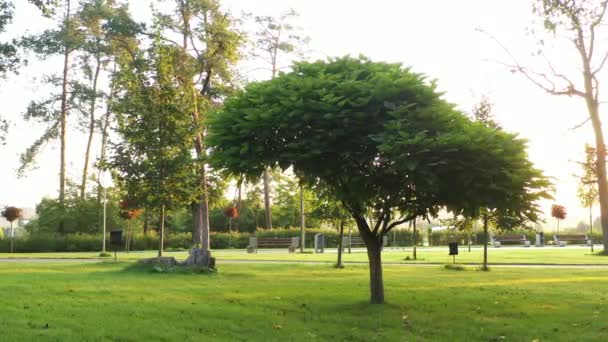 4k Callejuelas deshabitadas, en el fresco parque central de la mañana de Bucha
 - Imágenes, Vídeo
