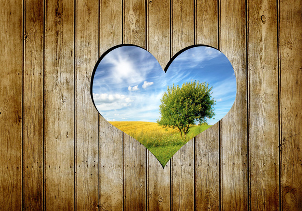 Сердце в деревянной стене
 - Фото, изображение