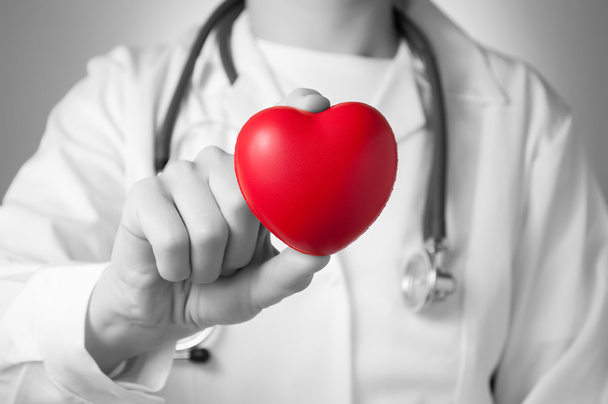 Dottore in possesso di un cuore rosso - Foto, immagini