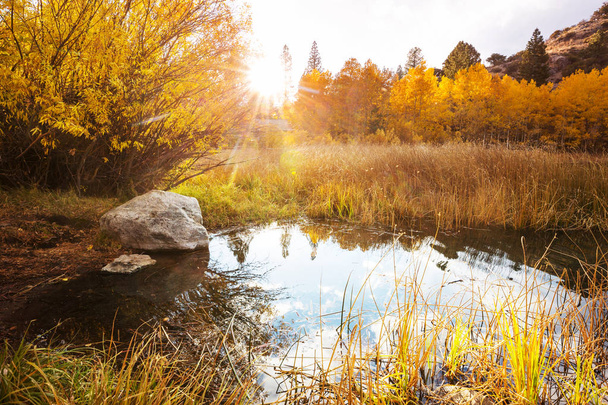 Der schöne See in der Herbstsaison - Foto, Bild