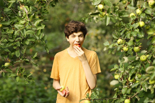 щасливий хлопчик з яблучною посмішкою підморгнув на яблуні зелений сад backg
 - Фото, зображення