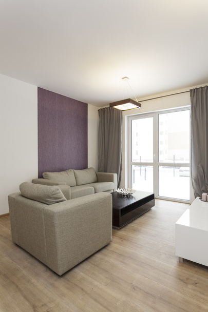 Cosy flat - living room - Foto, imagen
