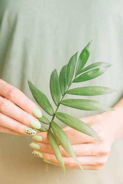 Female hands with green manicure holding palm leaf. - Фото, изображение