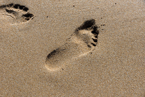 Footprints on the shore of the sea - Photo, Image