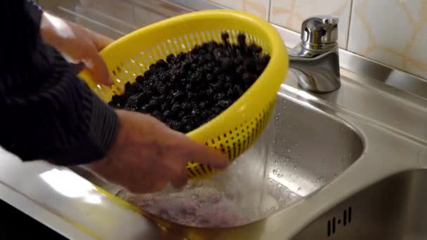 Domowy sok z dzikich BlackBerries-płukanie i separacji jeżyny - Materiał filmowy, wideo