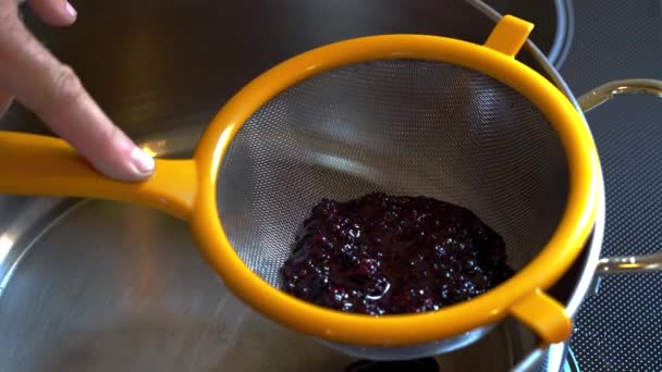 Homemade juice from Wild Blackberries-Squeezing - Imágenes, Vídeo