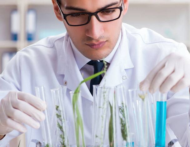 Biotecnología científico químico trabajando en laboratorio - Foto, Imagen