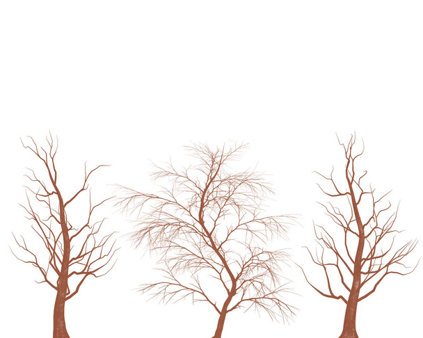Fák levelek nélkül, fehér alapon - Fotó, kép
