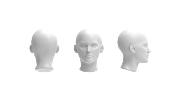 3d rendu d'un modèle humain isolé en fond blanc
 - Photo, image