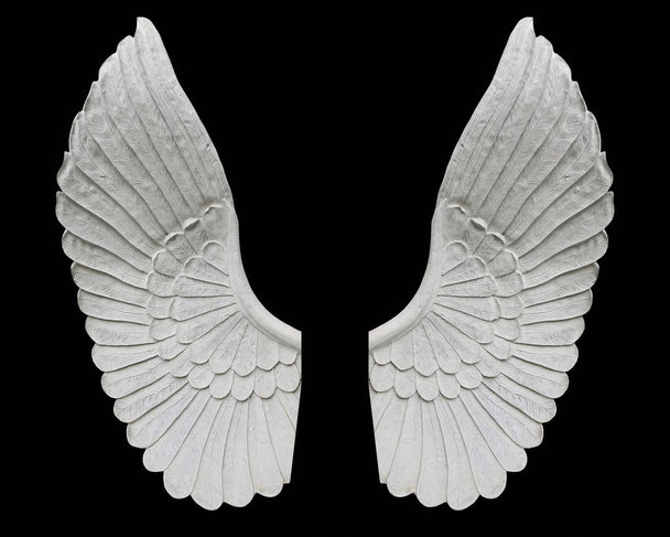 ангельське крило ізольоване на чорному фоні
 - Фото, зображення