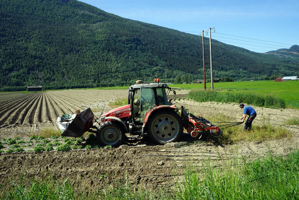 Farmer and tractor - Фото, изображение