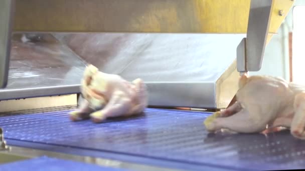 Ein Mitarbeiter der Firma führt Hühnerknochen aus. Hühnerbrüste mit Rippen sind von Schenkeln getrennt. Hand Nahaufnahme, die das Huhn teilen - Filmmaterial, Video