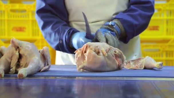 会社の従業員が鶏肉のデボニングを行います。肋骨を持つ鶏の胸肉は、太ももから分離されています。鶏肉を共有する手のクローズアップ - 映像、動画