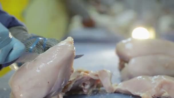 Kubny dipendente piano presso la società spende disossare pollo. Taglia pezzi di pollo. I petti di pollo con costole sono separati dalle cosce. Primo piano mano che condividono il pollo
 - Filmati, video