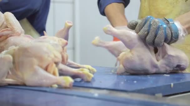 Сотрудник компании проводит обеззараживание цыплят. Куриные грудки с рёбрами отделены от бедер. Рука крупным планом, который делит курицу
 - Кадры, видео