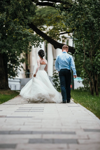 Rear view of a newlywed couple hugging in a park. Couple goes into the distance. - Foto, immagini