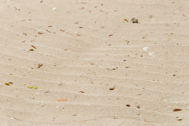 Design a spirale in sabbia sulla spiaggia
 - Foto, immagini