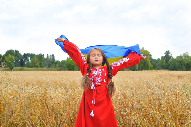 Ukraina patriotyczna koncepcja. Piękna dziewczyna w ukraińskim Narodowym garniturze z flagą Ukrainy. miejsce - Zdjęcie, obraz