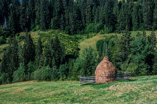 Top rural view with hayrick in Carpathian - Photo, Image