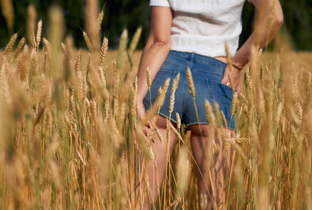 The girl is standing on a yellow wheat field. - Photo, Image