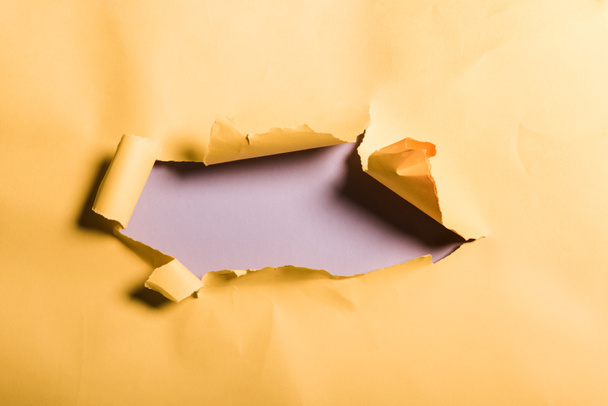 gescheurde en getextureerde oranje papier met rolrand op paars  - Foto, afbeelding