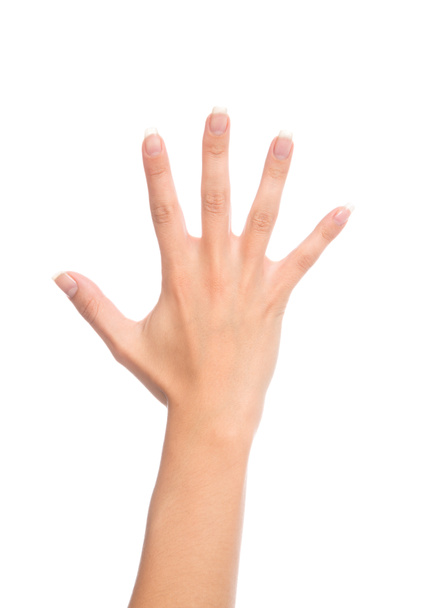 Manicured female open hand gesture number five fingers up - Фото, изображение