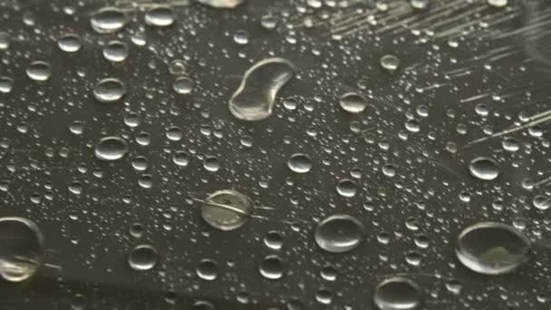Close-up van regendruppels van verschillende groottes op het oppervlak bedekt met plastic folie. Concept van vocht weer en vochtigheid - Video