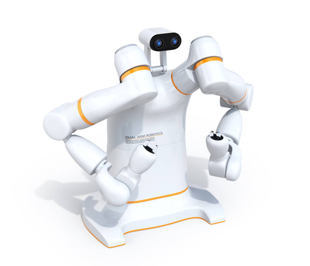 白い背景に隔離された白い二重腕のロボット。コラボレーションロボットコンセプト。3D レンダリング イメージ. - 写真・画像