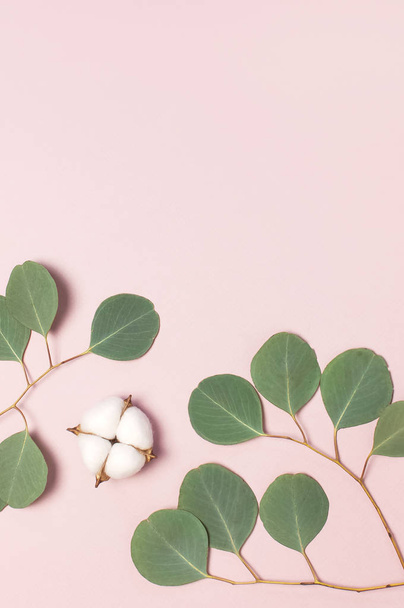Katoen bloemen en groene eucalyptus twig op pastel roze achtergrond. Platte lay, bovenaanzicht, kopieer ruimte. Bloem samenstelling met delicate katoen bloemen. Katoen achtergrond - Foto, afbeelding
