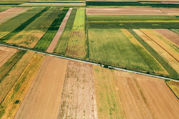 Veduta aerea della ferrovia attraverso il paesaggio rurale coltivato
 - Foto, immagini