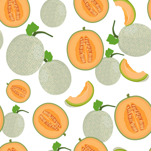 Melone ganze und halb nahtlose Muster auf weißem Hintergrund, frische Cantaloupe Melonenmuster Hintergrund, Fruchtvektor Illustration. - Vektor, Bild