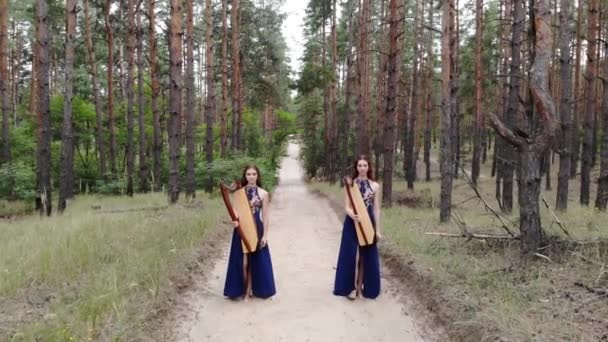 Dva harpisté chodí po lesní cestě s harfy v rukou proti pozadí borovic. - Záběry, video