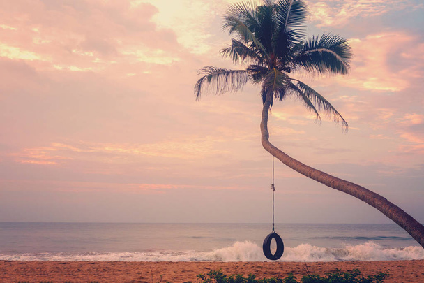palm tree with a swing wheel over the sea. Location beach, sunset - Photo, Image