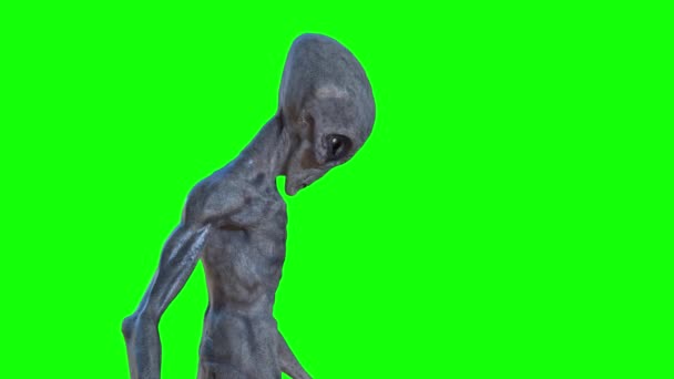 alien gris sur fond vert. 3d rendu
 - Séquence, vidéo