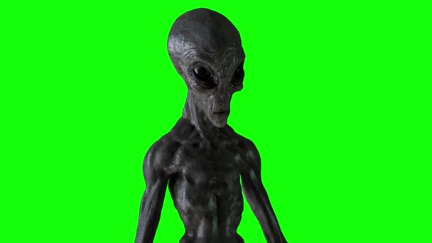 grauer Alien auf grünem Hintergrund. 3D-Darstellung - Filmmaterial, Video