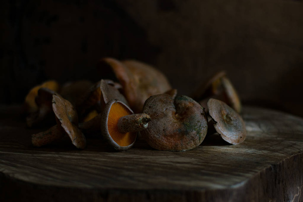 Close-up zicht op Lactarius Mushroom op houten tafel - Foto, afbeelding