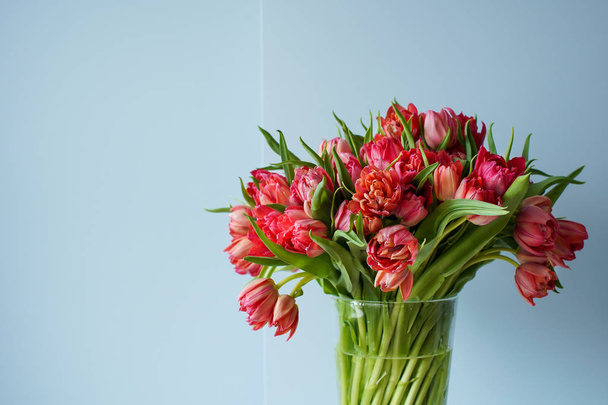 Прекрасный букет красных тюльпанов в стеклянной вазе на белом столе
 - Фото, изображение