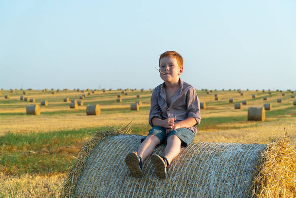 A red-haired boy sits on top of a straw bale on a wheat field - Photo, image