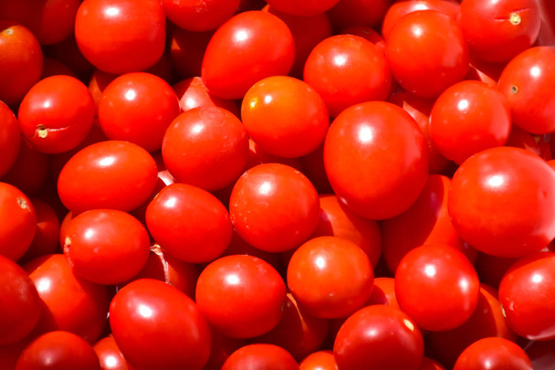 Cherry tomatoes collected from the garden in a bowl - Foto, imagen