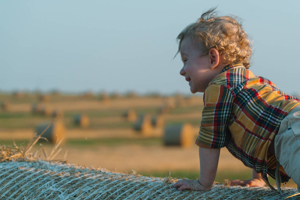 A fair-haired littleboy sits on top of a straw bale on a wheat field - Foto, Imagen