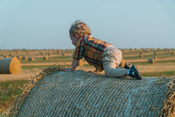 A fair-haired littleboy sits on top of a straw bale on a wheat field - Фото, зображення