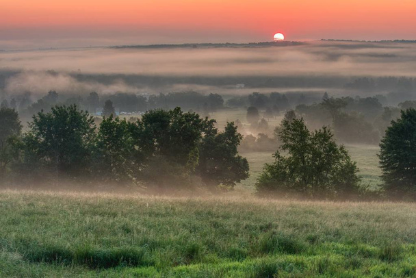 Beautiful shot of the amazing sunset in the countryside foggy forest and the breathtaking red sky - Zdjęcie, obraz