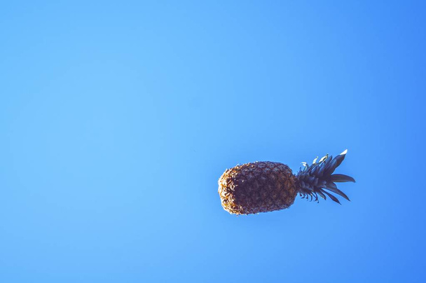 Pineapple with a beautiful relaxing bright blue background - Fotoğraf, Görsel