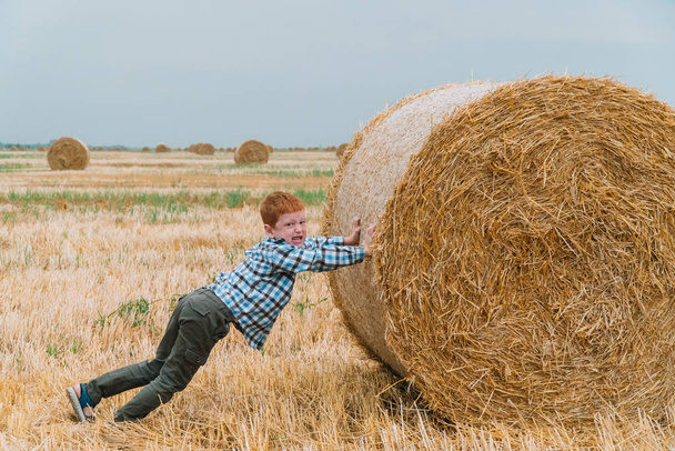 Menino ruivo empurrando um fardo de palha no meio de um campo de trigo com fardos em uma noite de verão
 - Foto, Imagem
